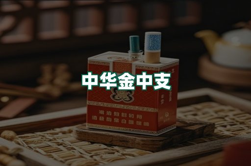 中华金中支